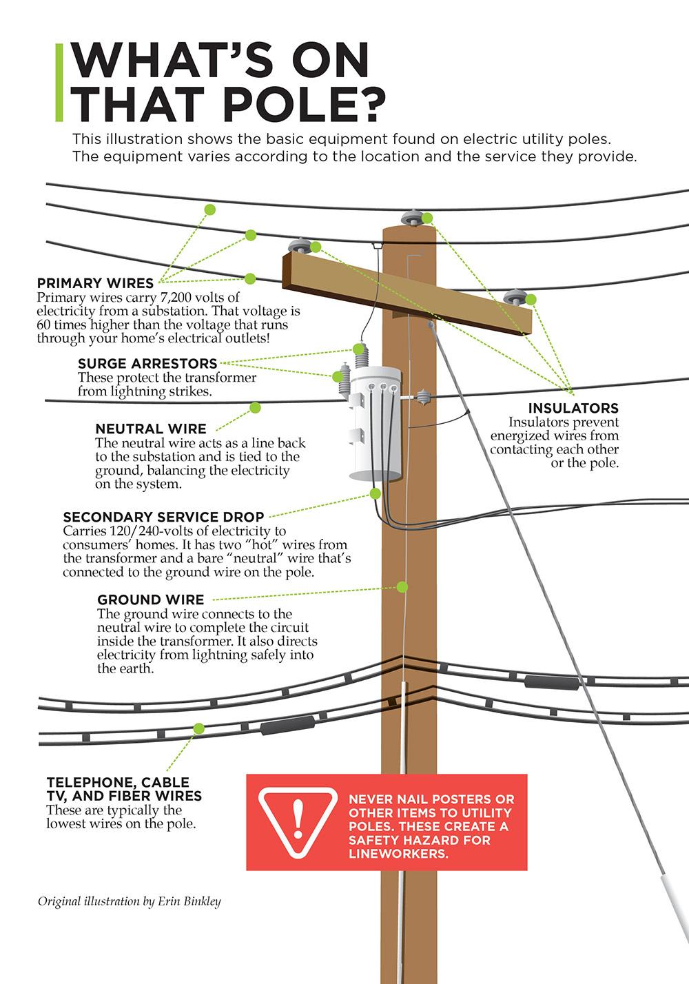 What's on that pole infographic